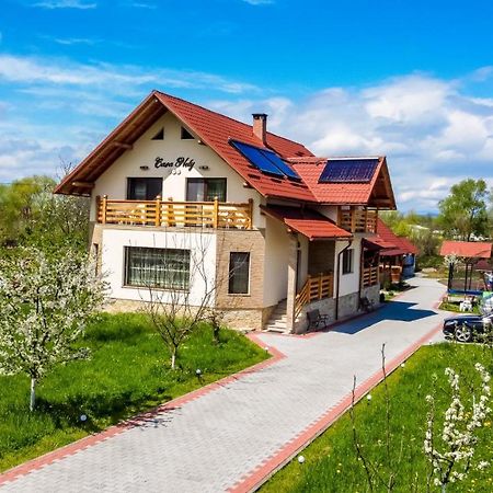Casa Nely 호텔 Sighetu Marmaţiei 외부 사진