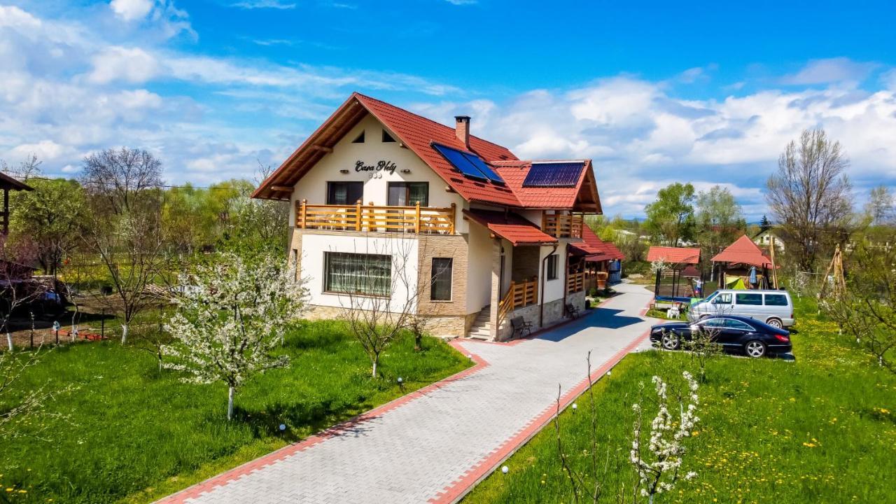 Casa Nely 호텔 Sighetu Marmaţiei 외부 사진