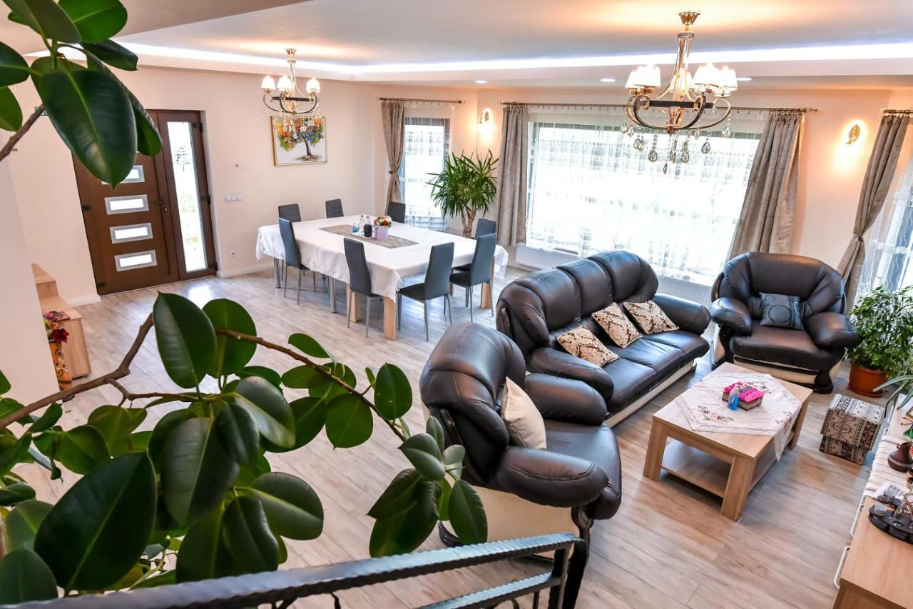 Casa Nely 호텔 Sighetu Marmaţiei 외부 사진