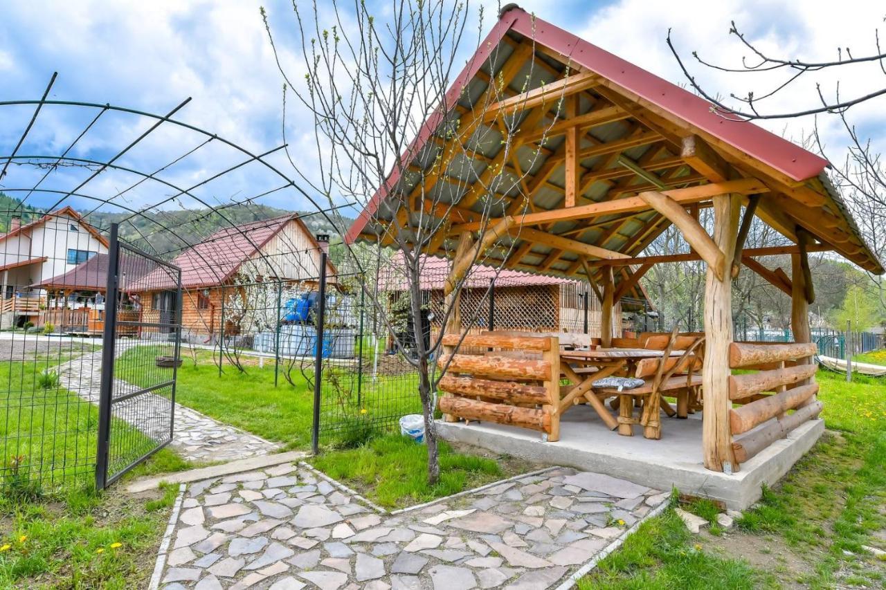 Casa Nely 호텔 Sighetu Marmaţiei 외부 사진