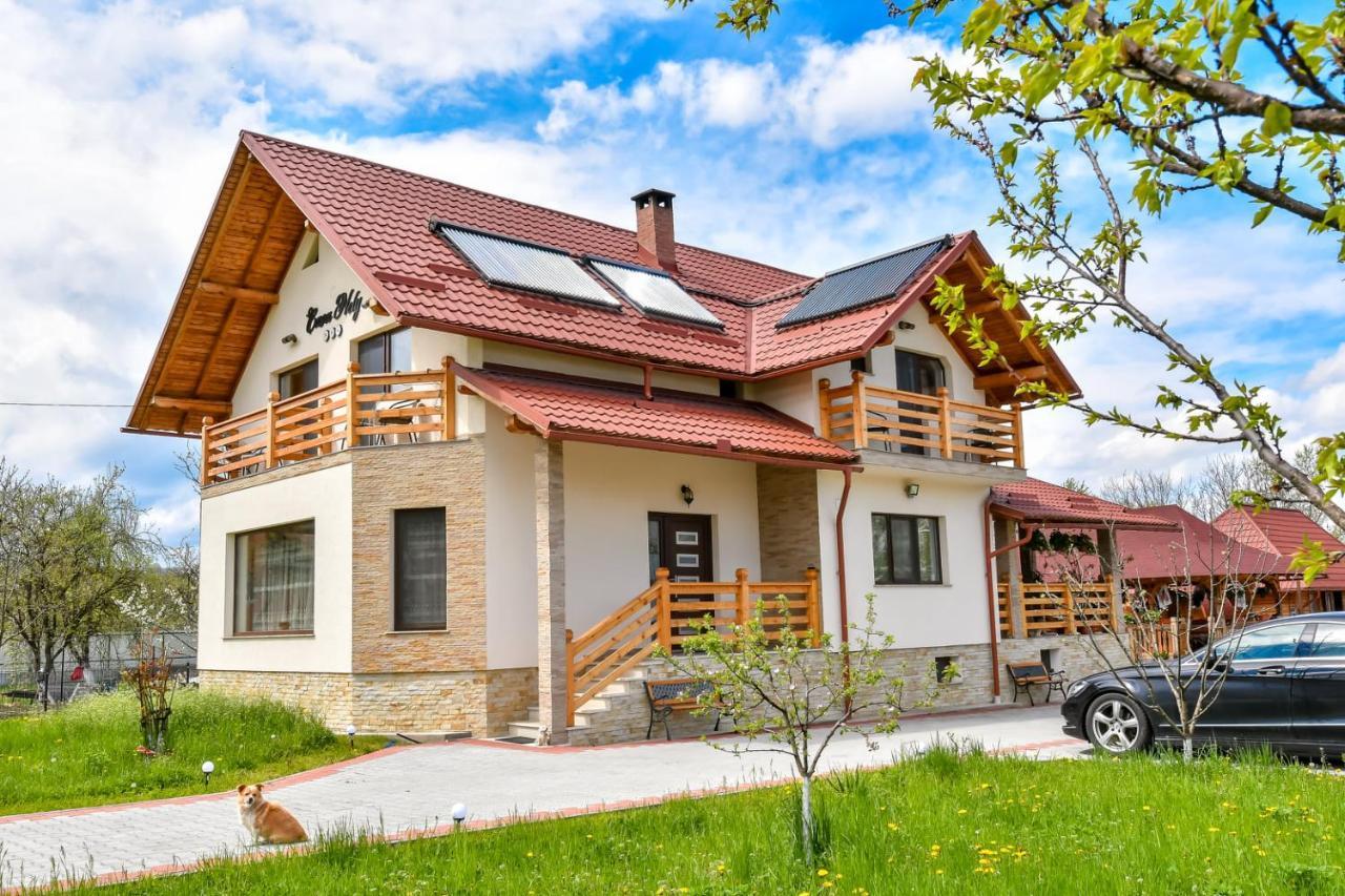 Casa Nely 호텔 Sighetu Marmaţiei 외부 사진
